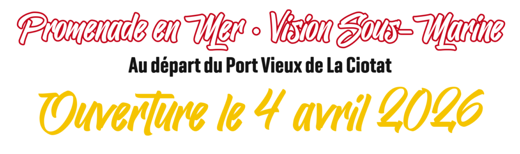 Promenade en mer, vision sous-marine au départ du Port Vieux de La Ciotat