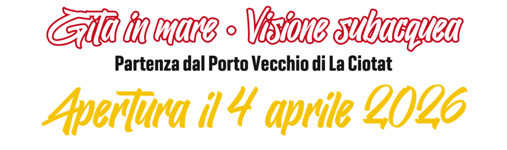 Gite in mare con visione subacquea, in partenza dal Porto Vecchio di La Ciotat